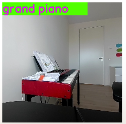 Image classification model with an overlay rendered by IM SDK